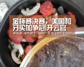 开云官网导航