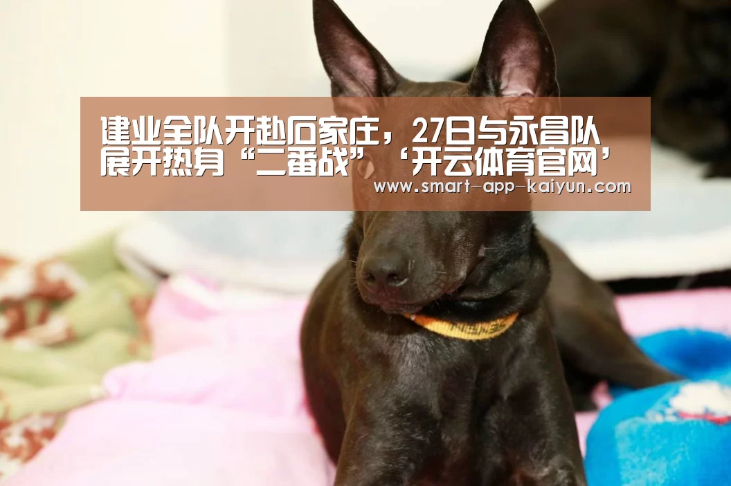 开云官网导航