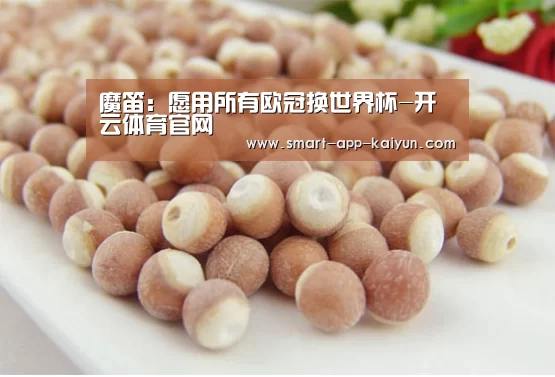 魔笛:愿用所有欧冠换世界杯-开云体育官网(图3) 开云官网