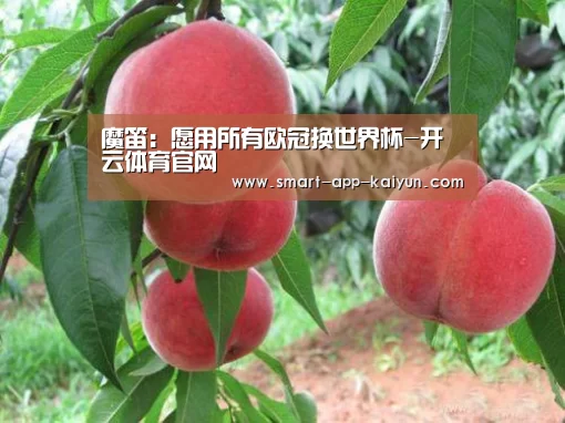魔笛:愿用所有欧冠换世界杯-开云体育官网(图4) 开云体育官网