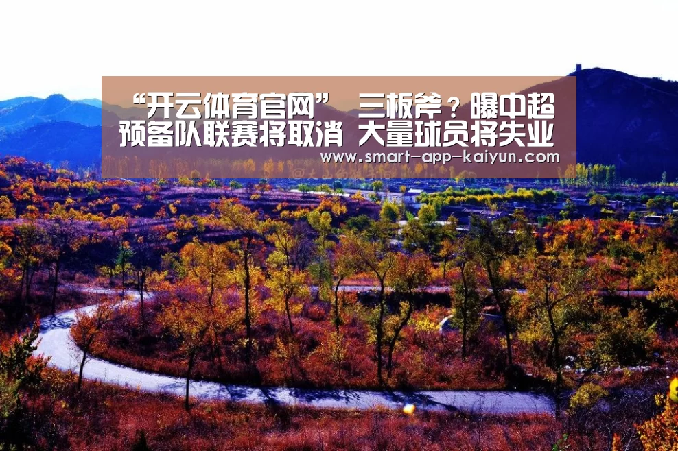 开云官网导航