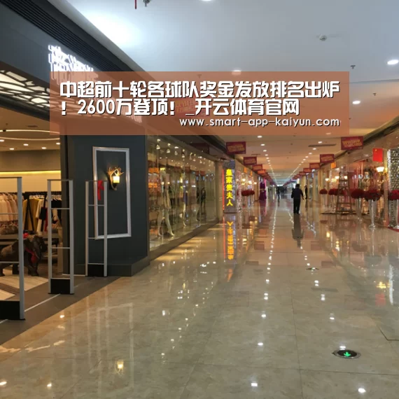 中超前十轮各球队奖金发放排名出炉!2600万登顶!_开云体育官网(图3) 开云体育官网