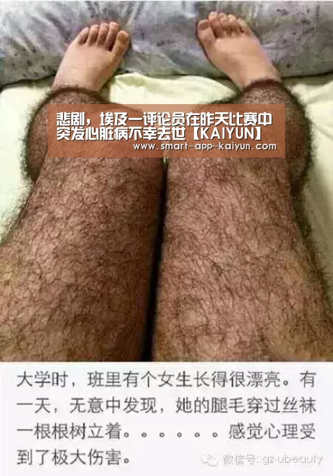 开云官网导航