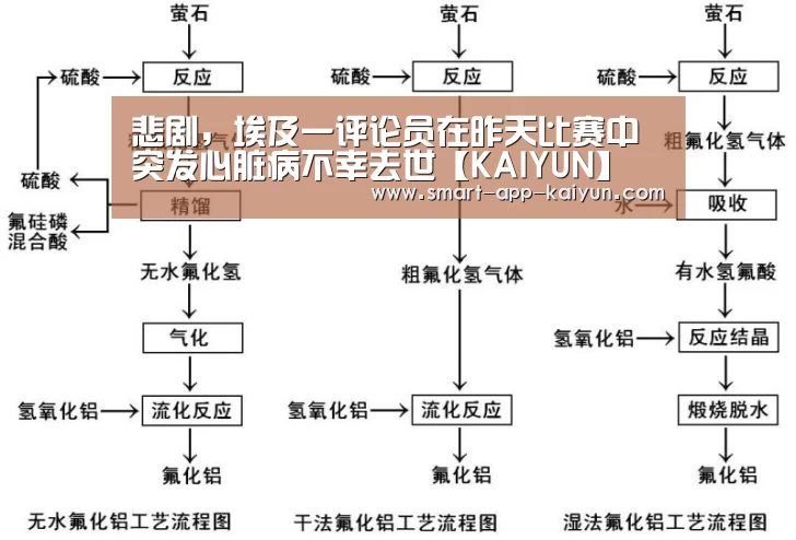 开云官网导航