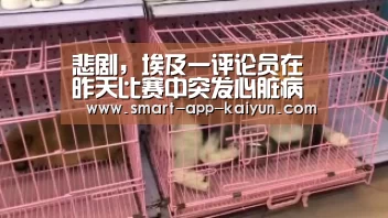 开云官网导航