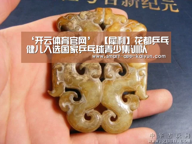 开云体育官网