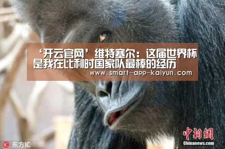 ‘开云官网’维特塞尔:这届世界杯是我在比利时国家队最棒的经历(图1) 开云体育官网