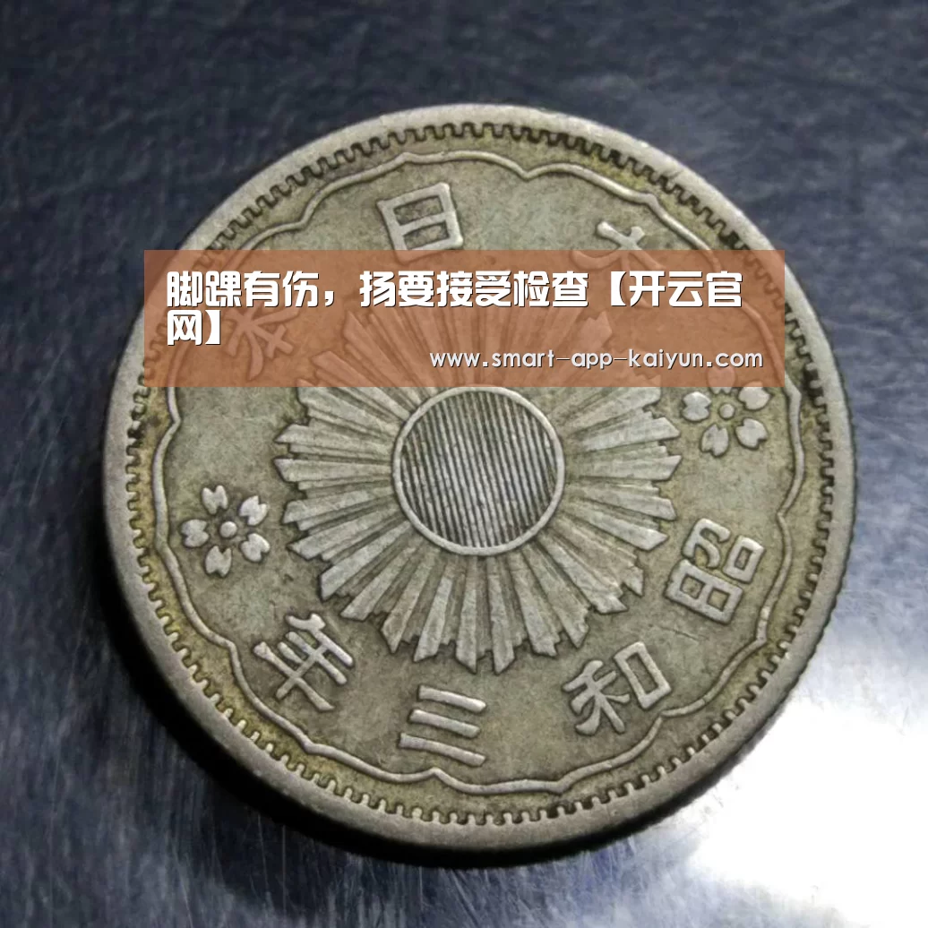 开云官网导航