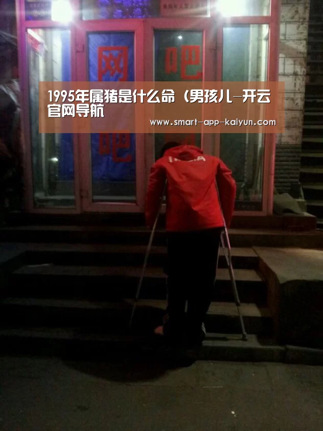 开云官网导航