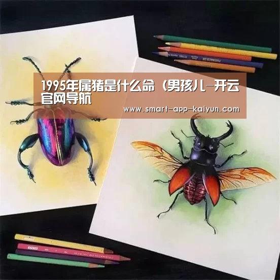 开云官网导航